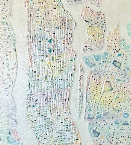Impasto Maps  Collection
